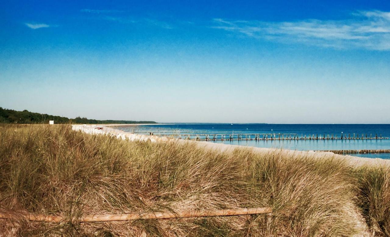 Little Rose Vila Zingst Exterior foto