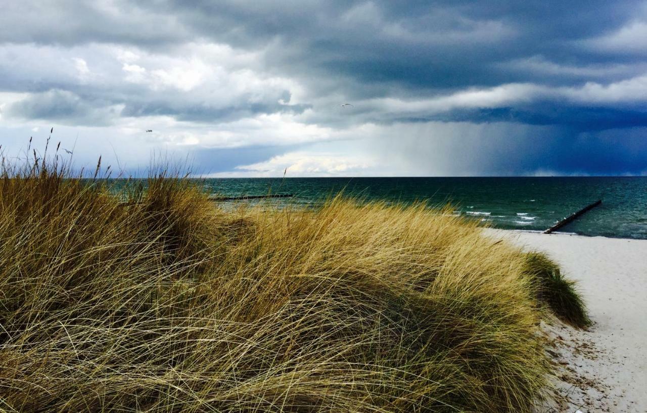 Little Rose Vila Zingst Exterior foto